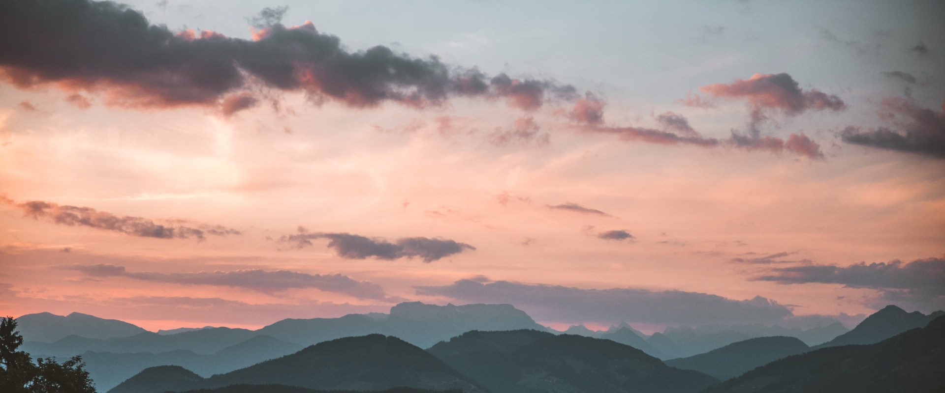 How to Use Pexels for Free Stock Images