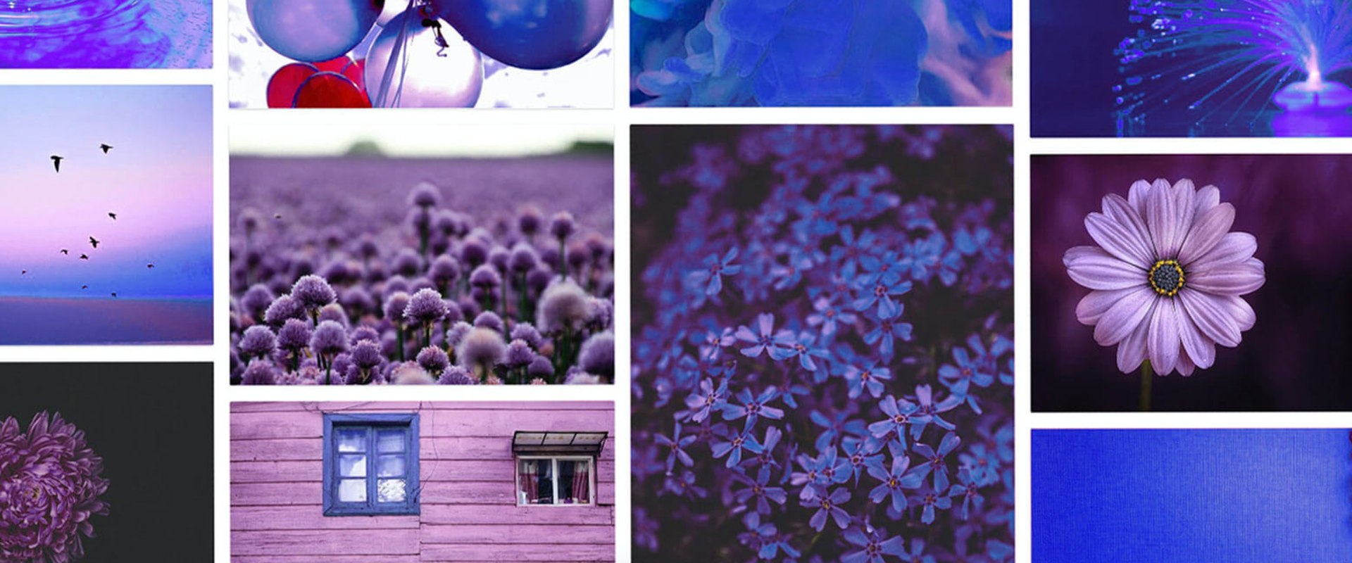 Optimizing Image Alt Text for Free Stock Images