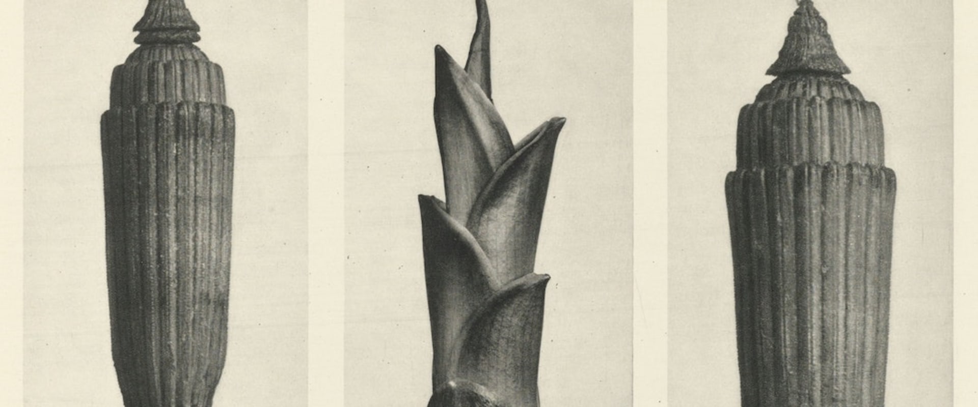 Types of Works in the Public Domain: A Comprehensive Overview