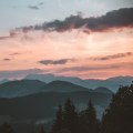 How to Use Pexels for Free Stock Images