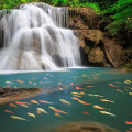 How to Find High-Quality Free Stock Images on Stack Exchange