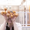 How to Find High Quality Free Stock Images for Personal and Commercial Use