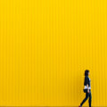 A Complete Guide to Adding Text and Graphics to Free Stock Images