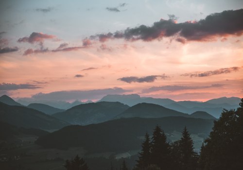 How to Use Pexels for Free Stock Images