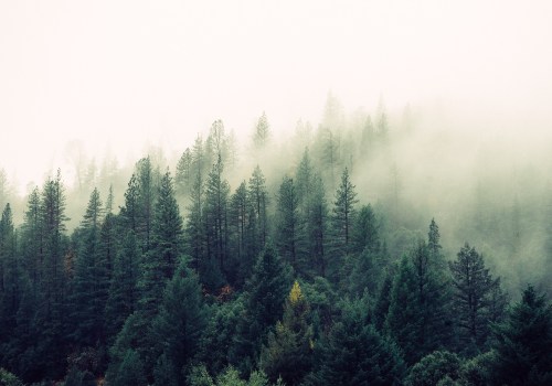 How to Find and Use High Quality Free Stock Images for Personal and Commercial Purposes