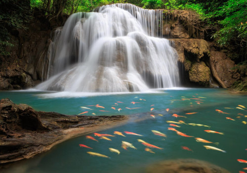 How to Find High-Quality Free Stock Images on Stack Exchange